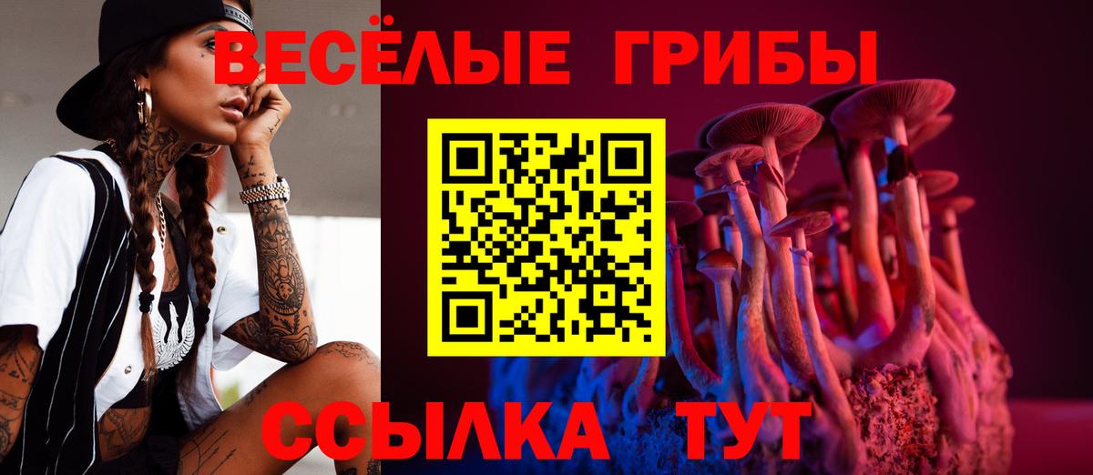 Тында  Псилоцибиновые грибы Magic Shrooms  Вход с VPN  Псилоцибиновые грибы Cubensis 
