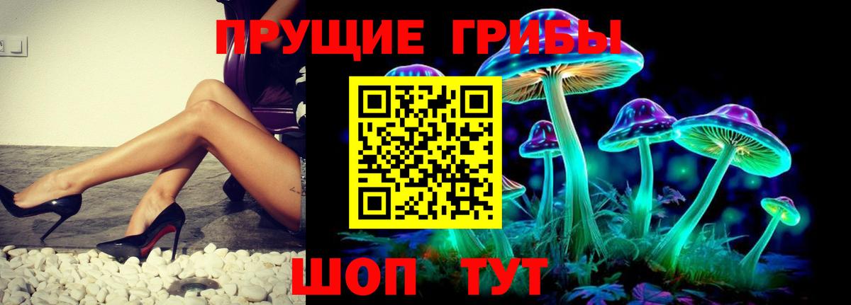 Псилоцибиновые грибы ЛСД Тында